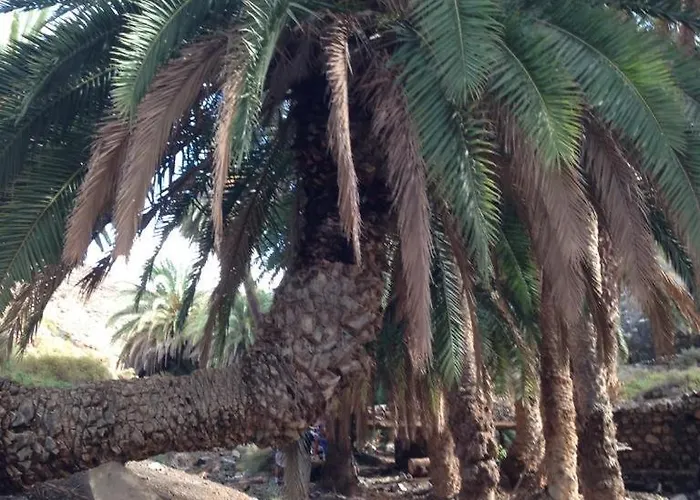 Ajuy בית נופש Ajuy